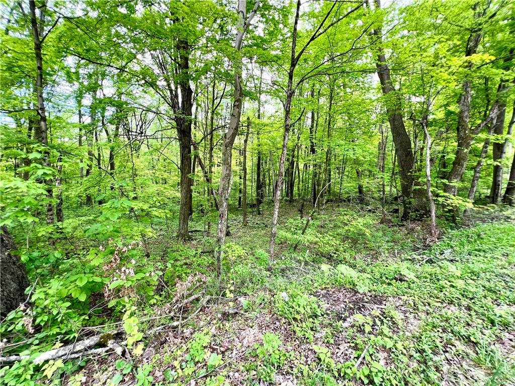 192 Hawkins Hollow Road Connellsville, PA 15425 - Photo 8 of 16 a view of outdoor space and trees