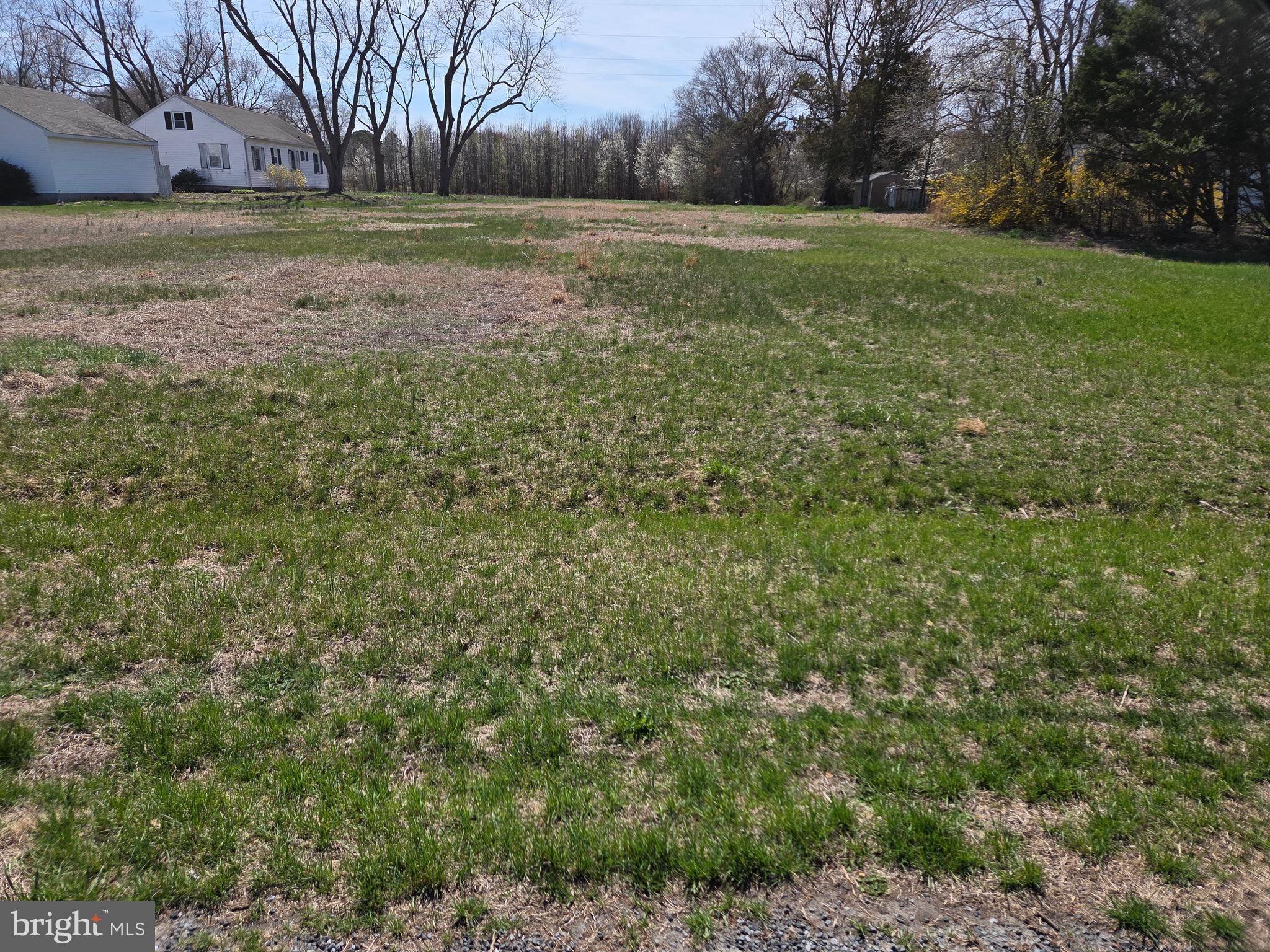 1 Three Bridges Road Willards, MD 21874 - Photo 1 of 6 View from Road