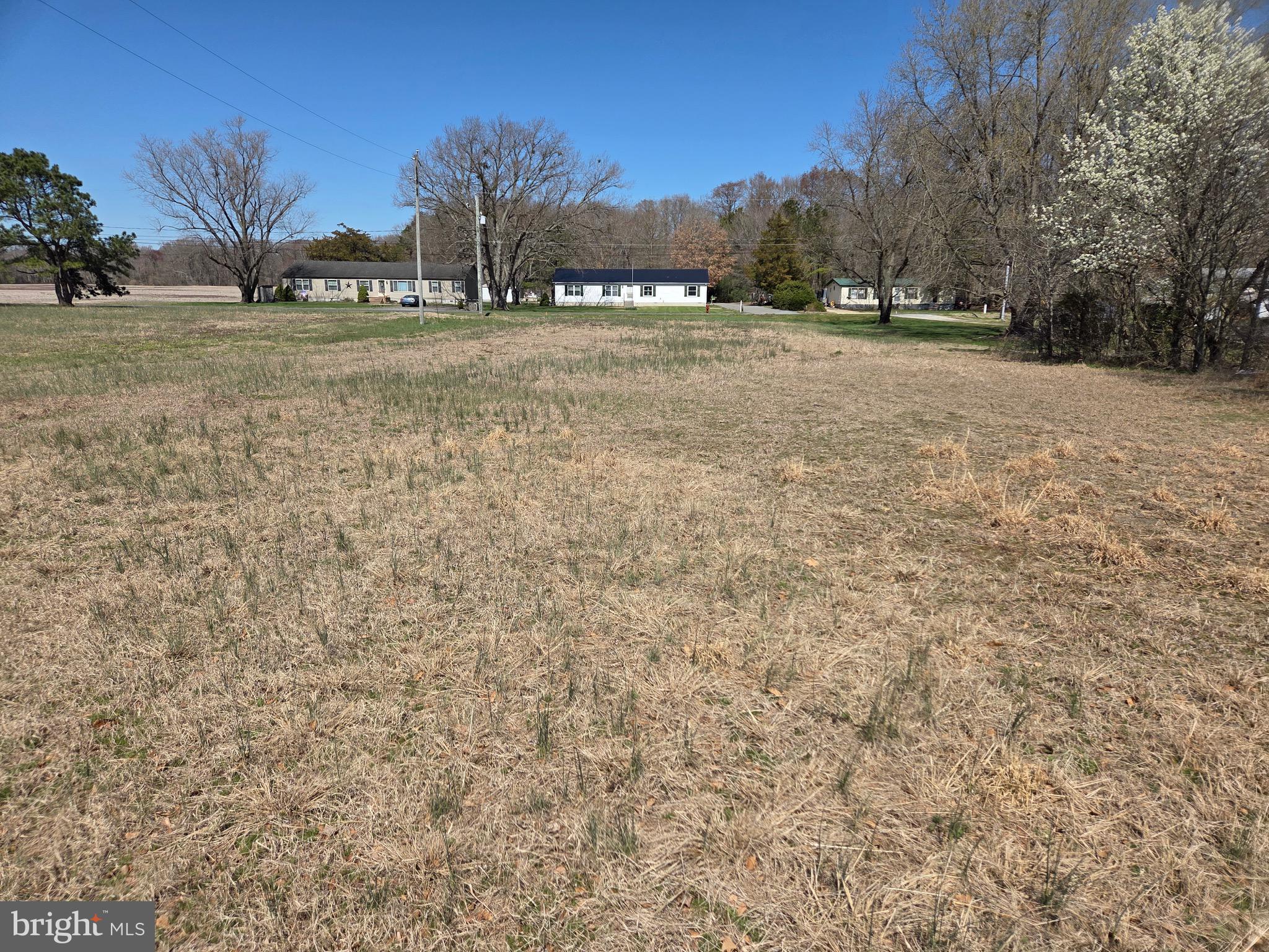 1 Three Bridges Road Willards, MD 21874 - Photo 6 of 6 Lot 2 for sale