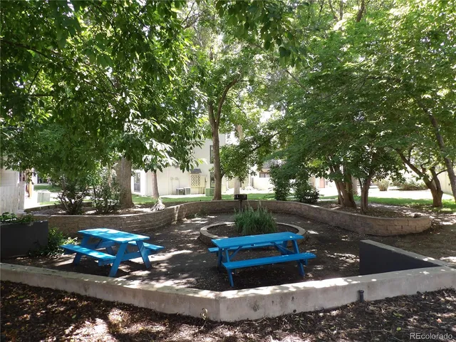 a park view with large trees