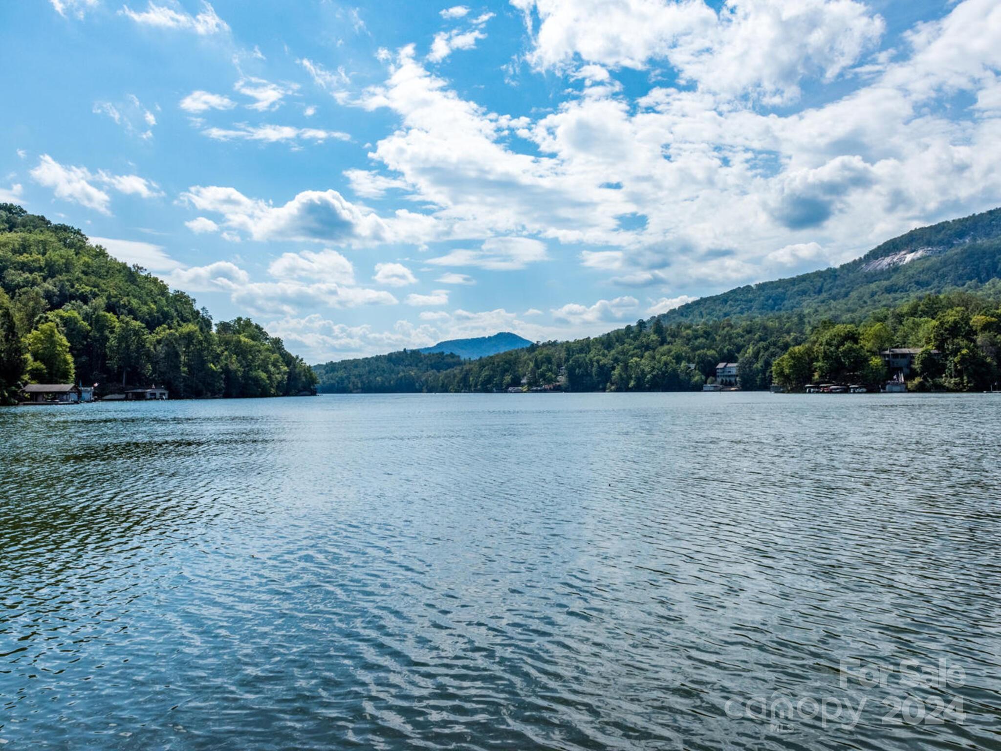 292 Huntington Road Lake Lure, NC 28746 - Photo 36 of 38 Gallery Image 36