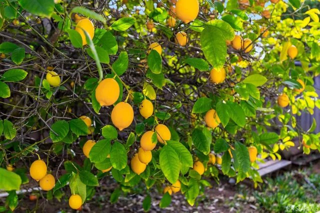 $999,999 | 1548 Fieldcrest Drive, Pleasant Hill, CA 94523