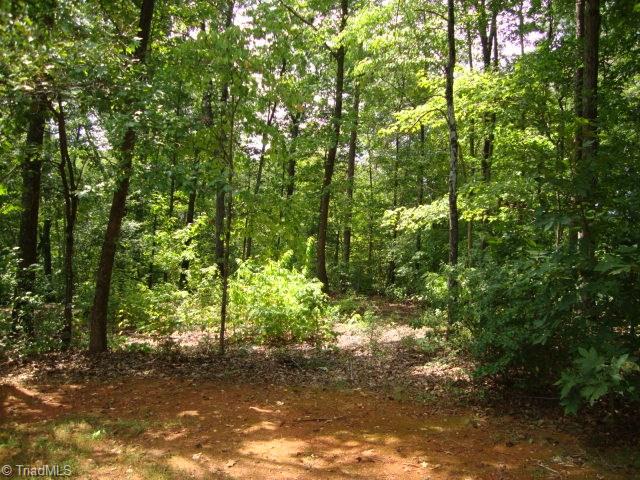3145 Cunningham Road Thomasville, NC 27360 - Photo 30 of 30