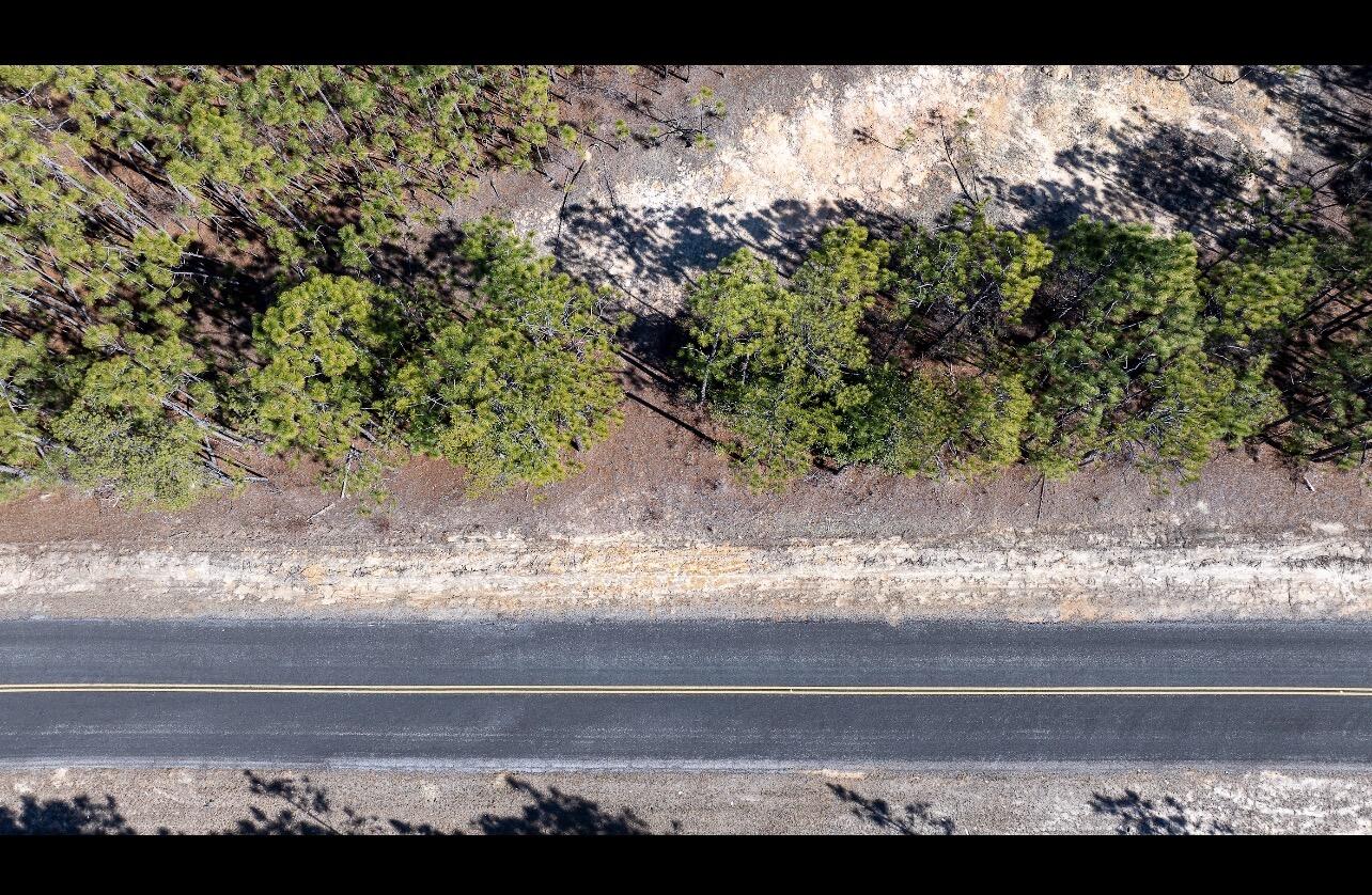 Lot B Kedron Church Road Aiken, SC 29805 - Photo 5 of 8 IMG_6925