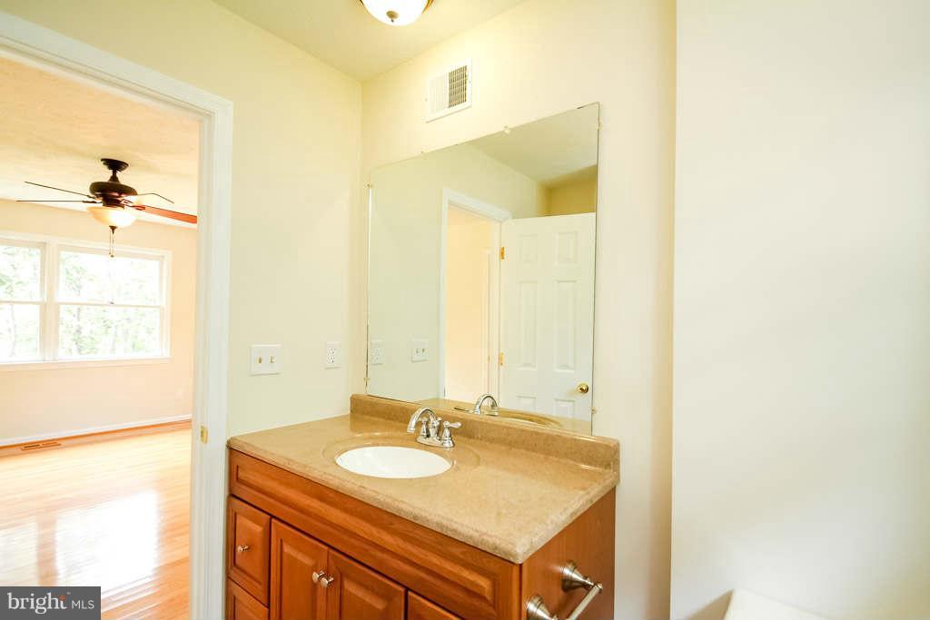 16211 Laurel Springs Road Culpeper, VA 22701 - Photo 14 of 30 Bath (Master)