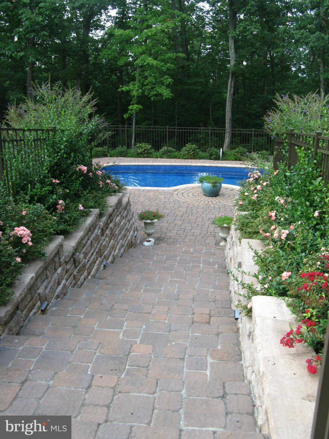 16211 Laurel Springs Road Culpeper, VA 22701 - Photo 23 of 30 Pool Area