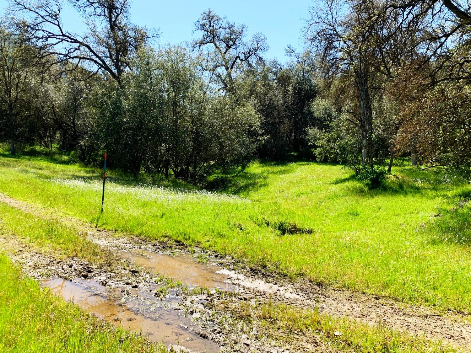 87 Dunlap Road Dunlap, CA 93621 - Photo 18 of 19 Gallery Image 18