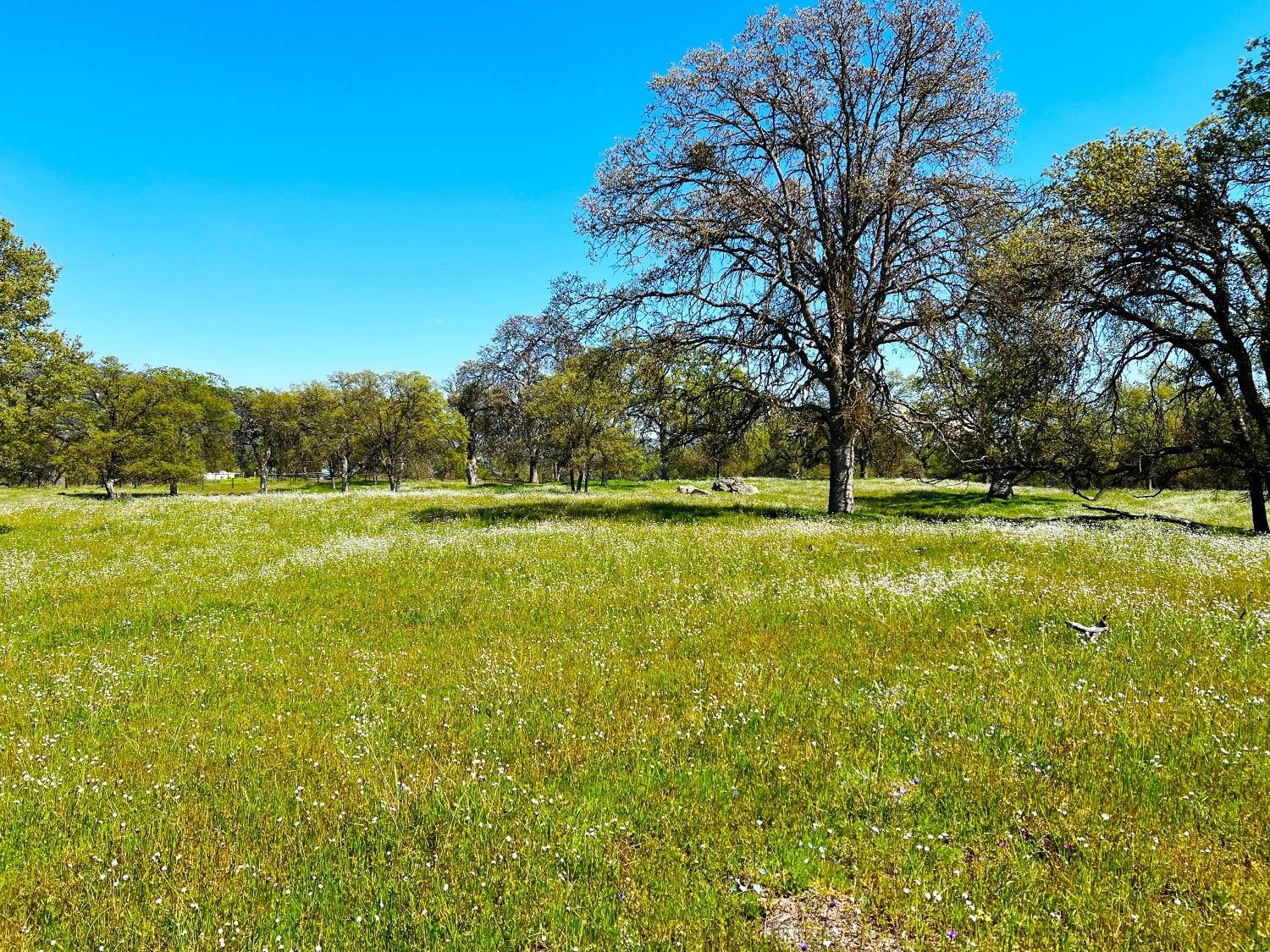 87 Dunlap Road Dunlap, CA 93621 - Photo 8 of 19 Gallery Image 8