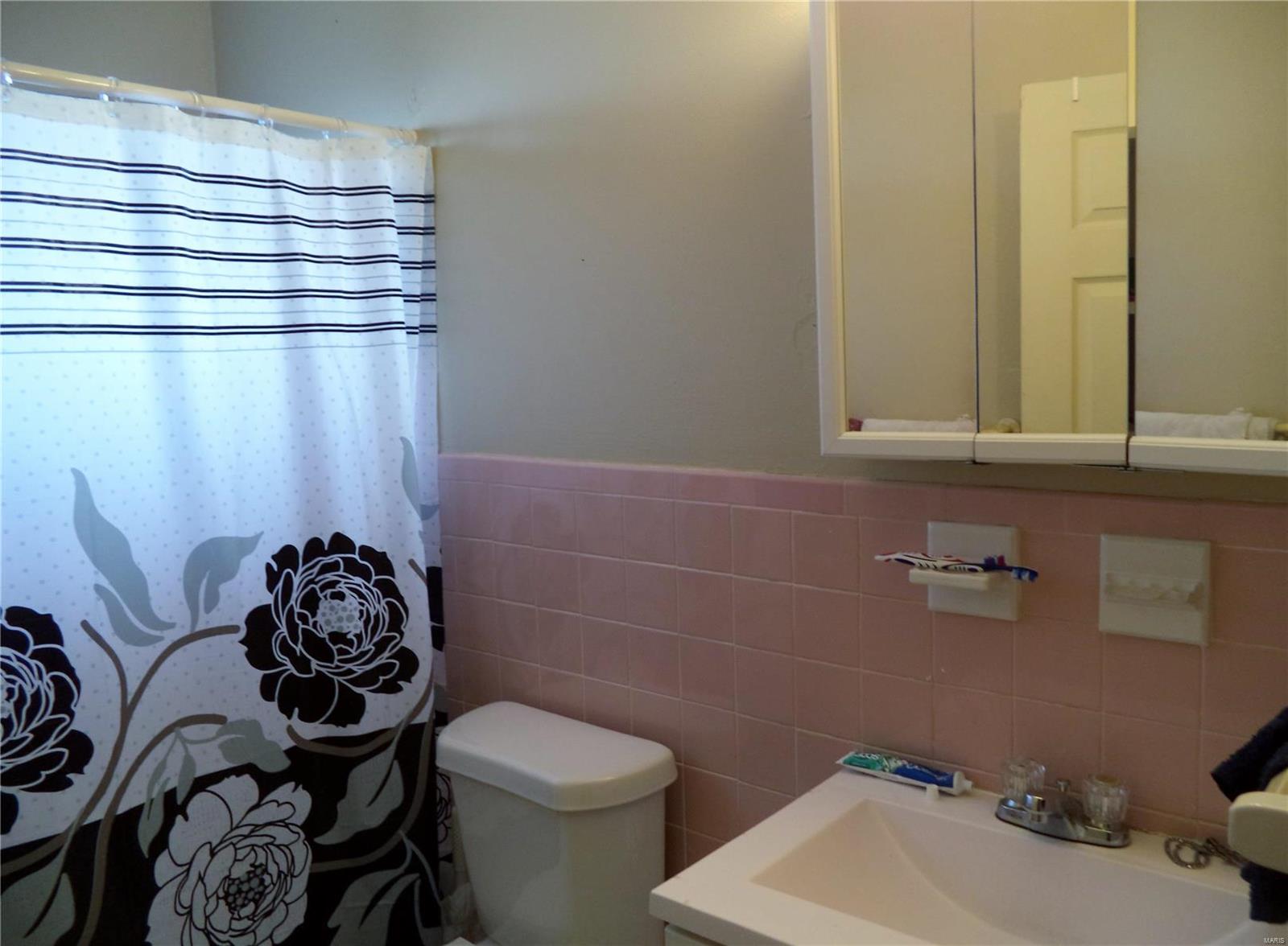 916 Raford Court St. Louis, MO 63137 - Photo 9 of 56 Gallery Image 9