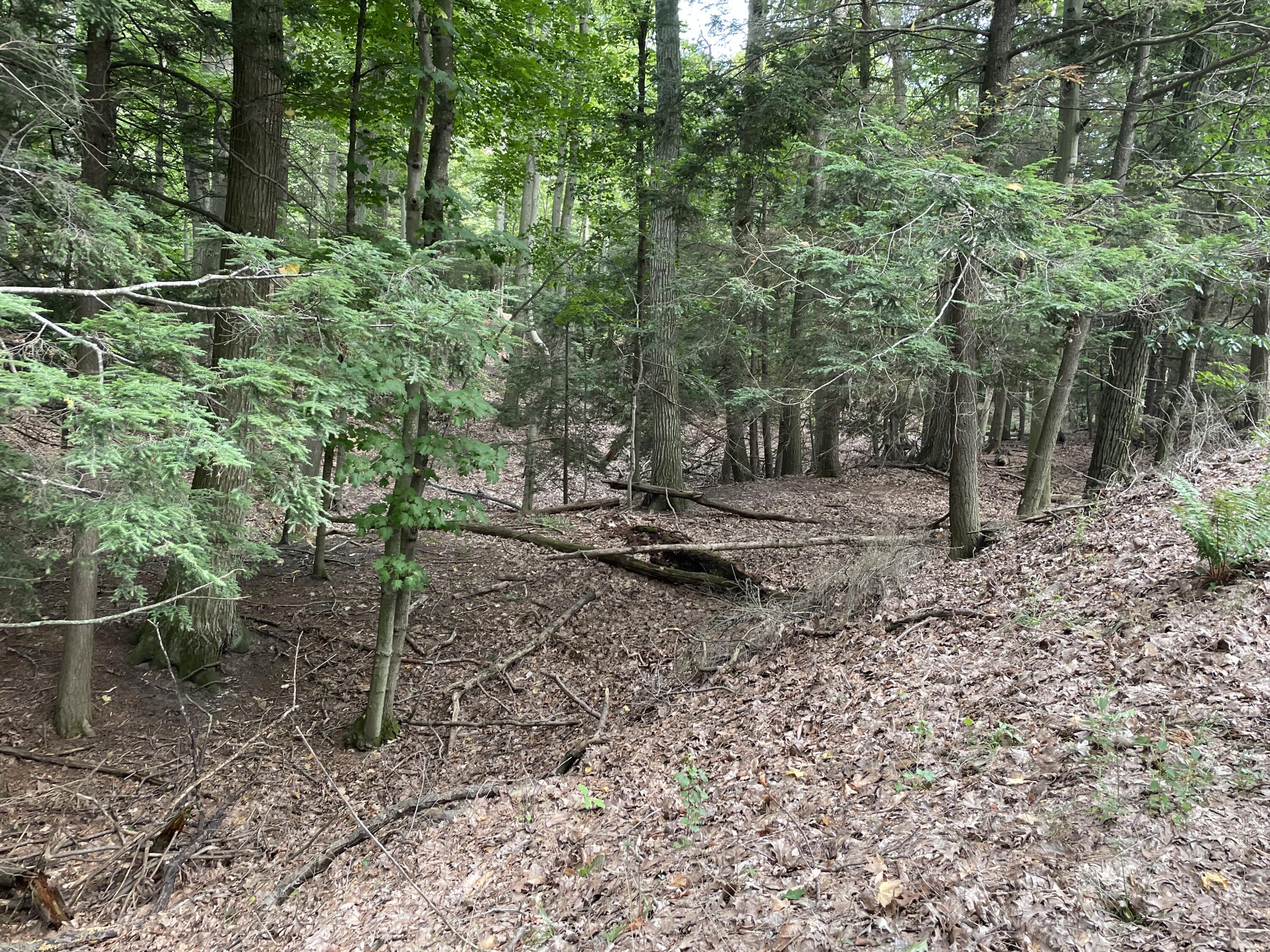 2087 South Glen Road Shelby, MI 49455 - Photo 25 of 31 IMG-0651