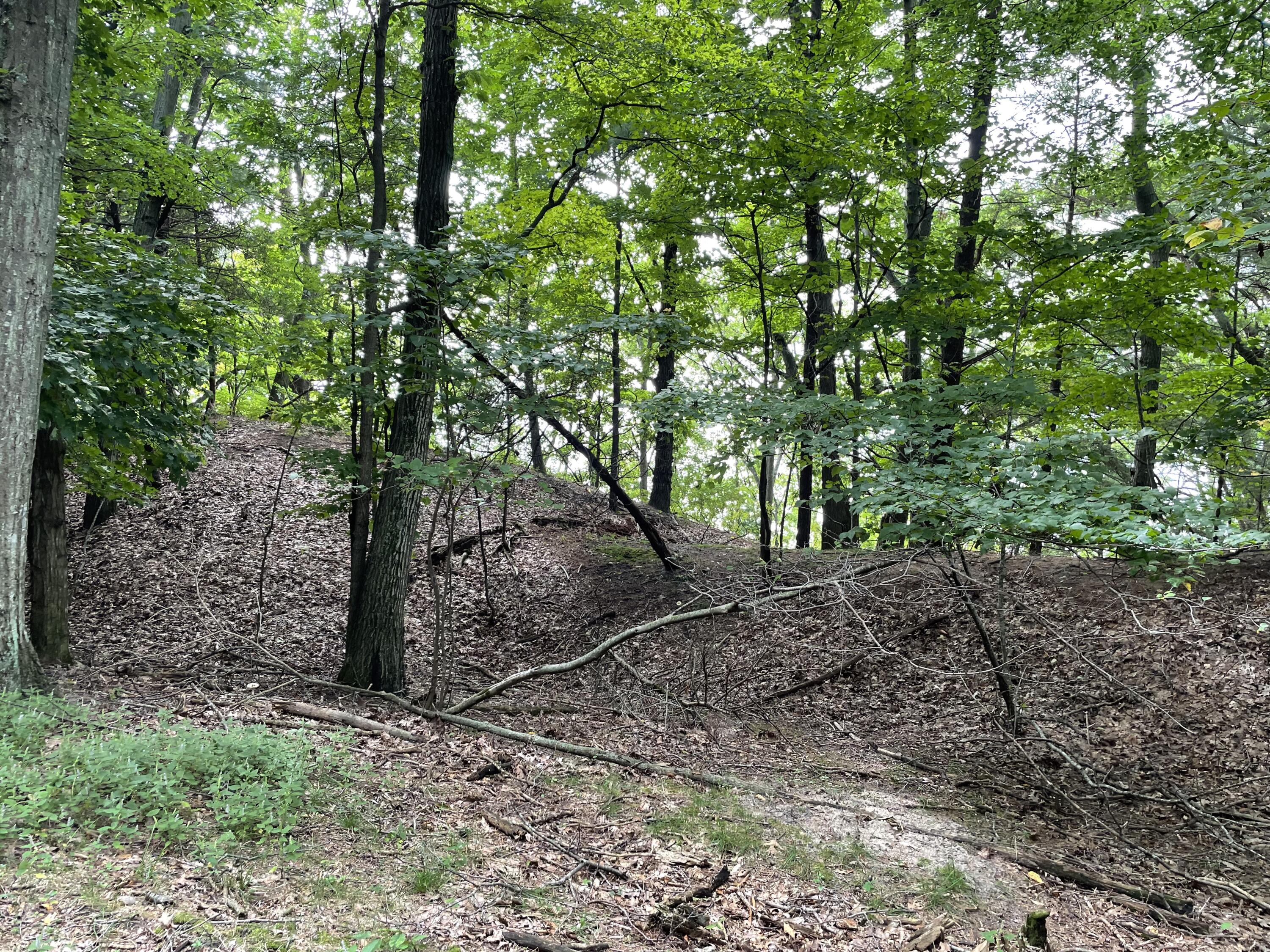 2087 South Glen Road Shelby, MI 49455 - Photo 26 of 31 IMG-0652