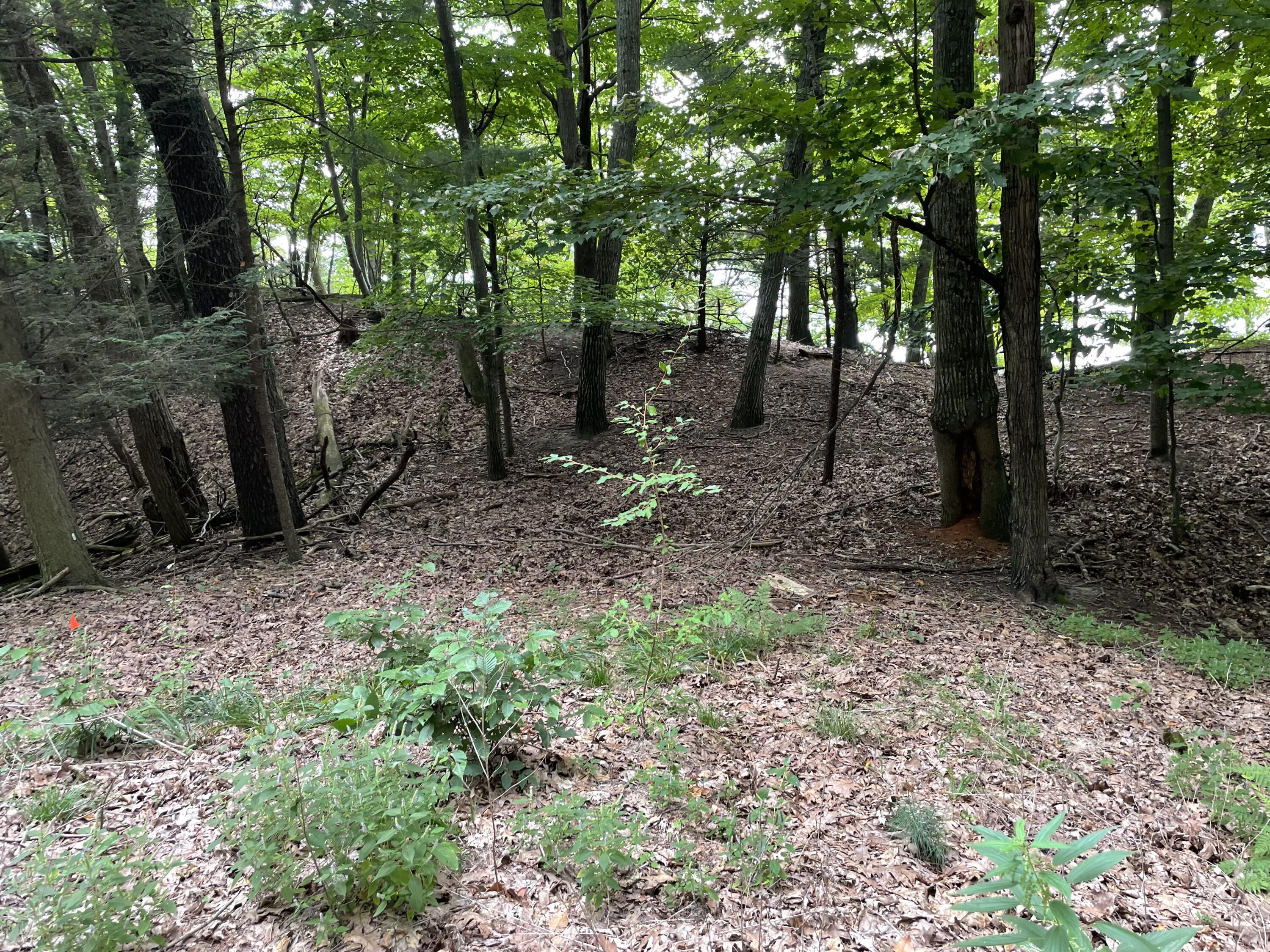 2087 South Glen Road Shelby, MI 49455 - Photo 27 of 31 IMG-0653