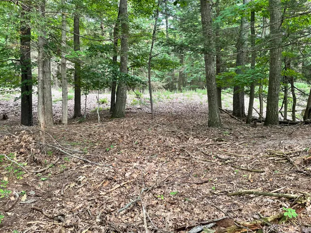 $1,950,000 | 2087 South Glen Road, Shelby, MI 49455