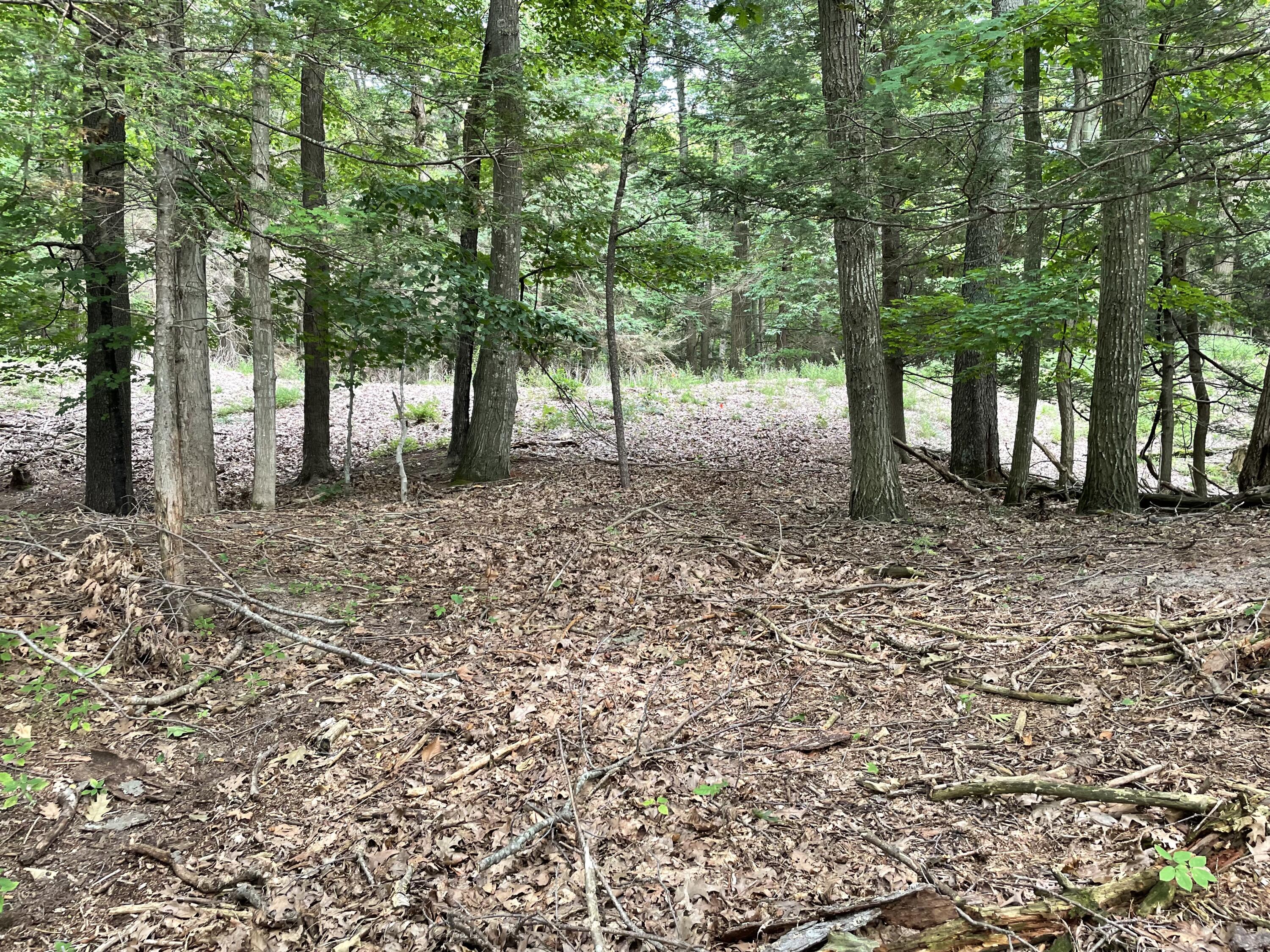 2087 South Glen Road Shelby, MI 49455 - Photo 28 of 31 IMG-0654