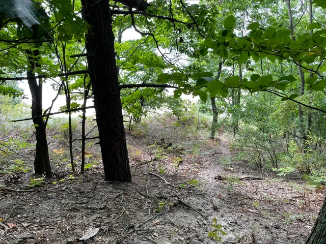 $1,950,000 | 2087 South Glen Road, Shelby, MI 49455