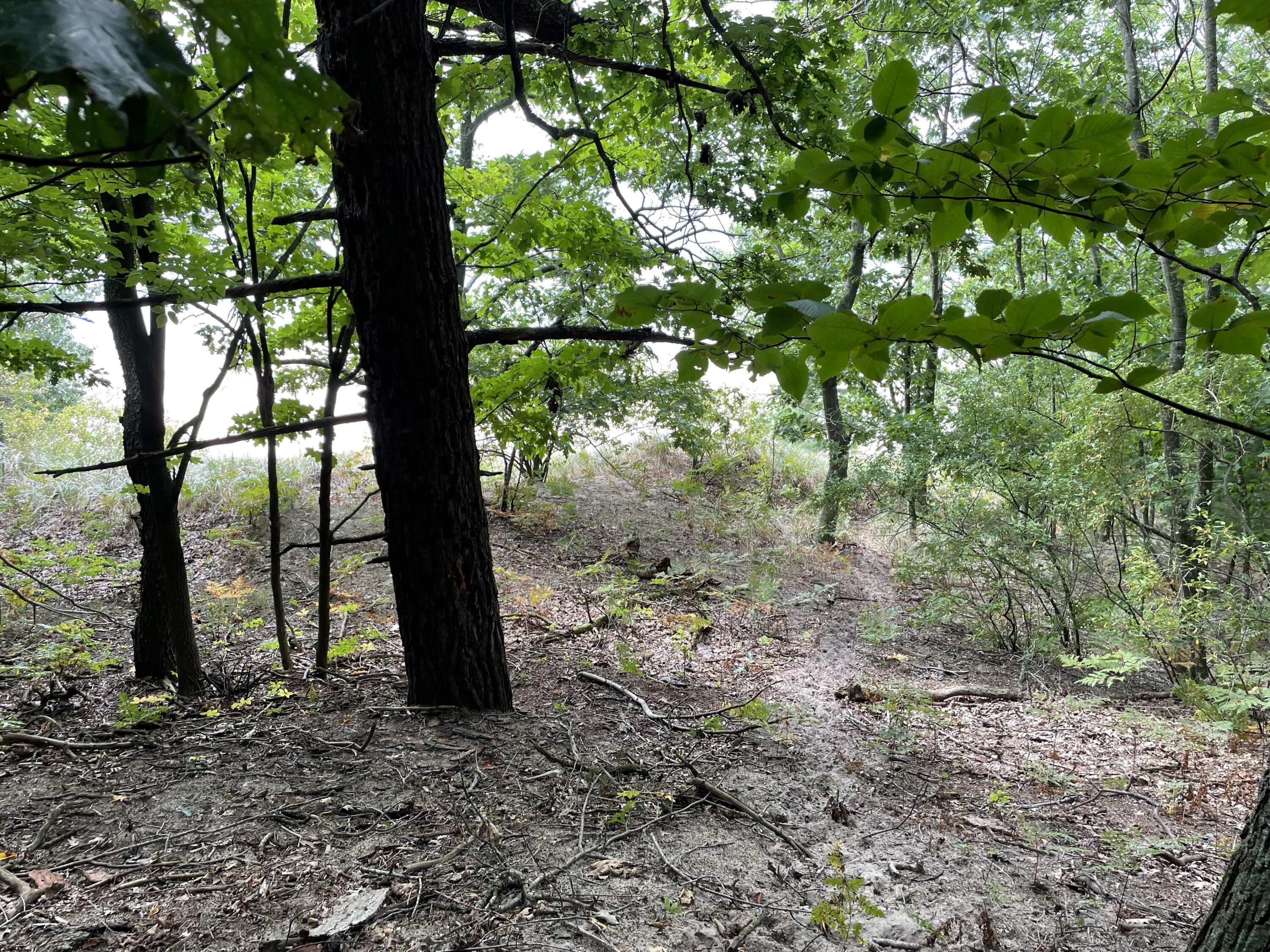 2087 South Glen Road Shelby, MI 49455 - Photo 29 of 31 IMG-0655