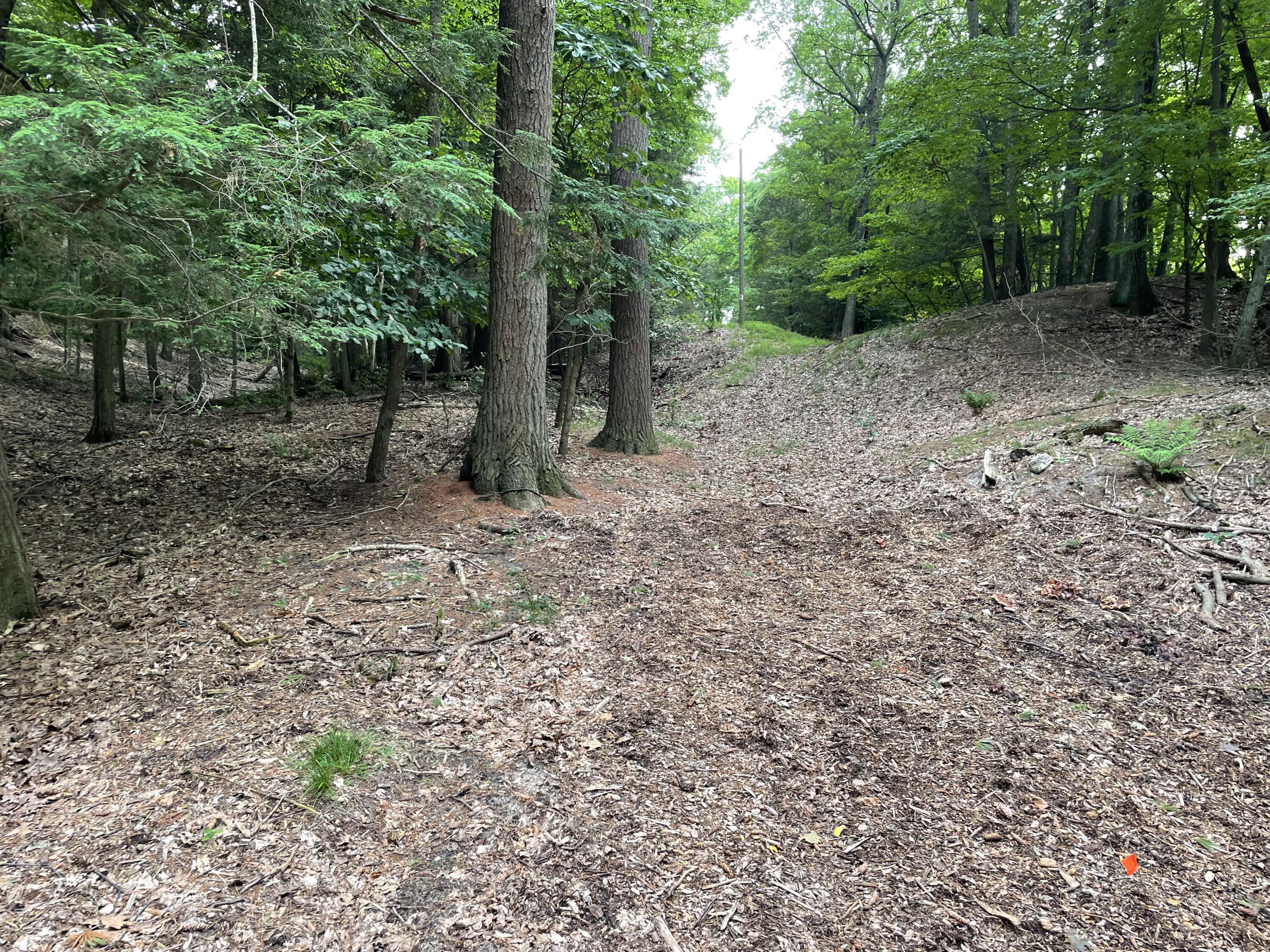 2087 South Glen Road Shelby, MI 49455 - Photo 30 of 31 IMG-0657