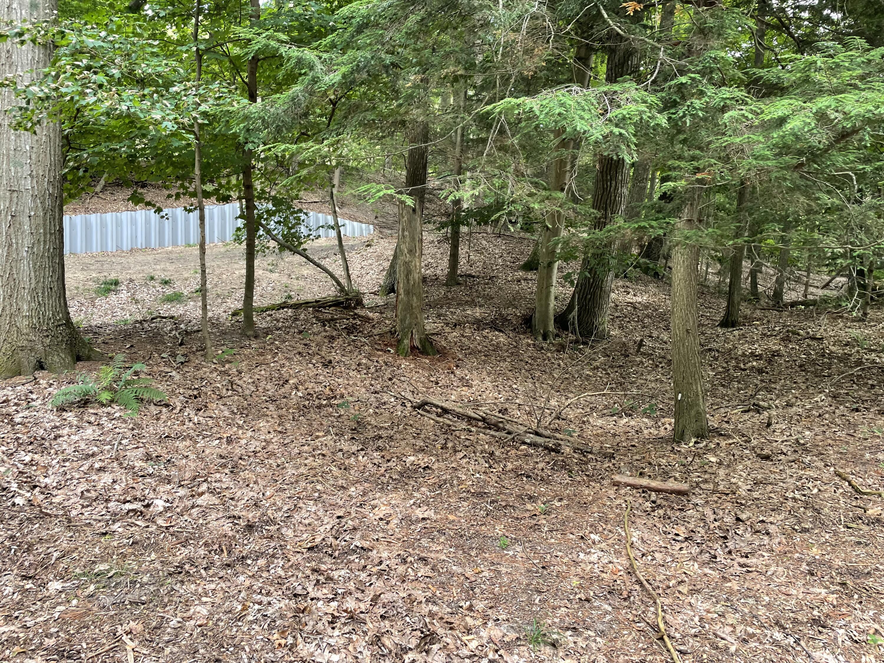 2087 South Glen Road Shelby, MI 49455 - Photo 31 of 31 IMG-0658