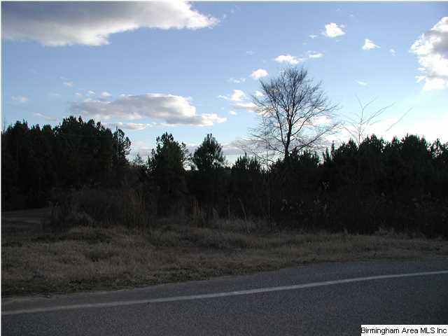 2061 Creel Road Morris, AL 35116 - Photo 2 of 6