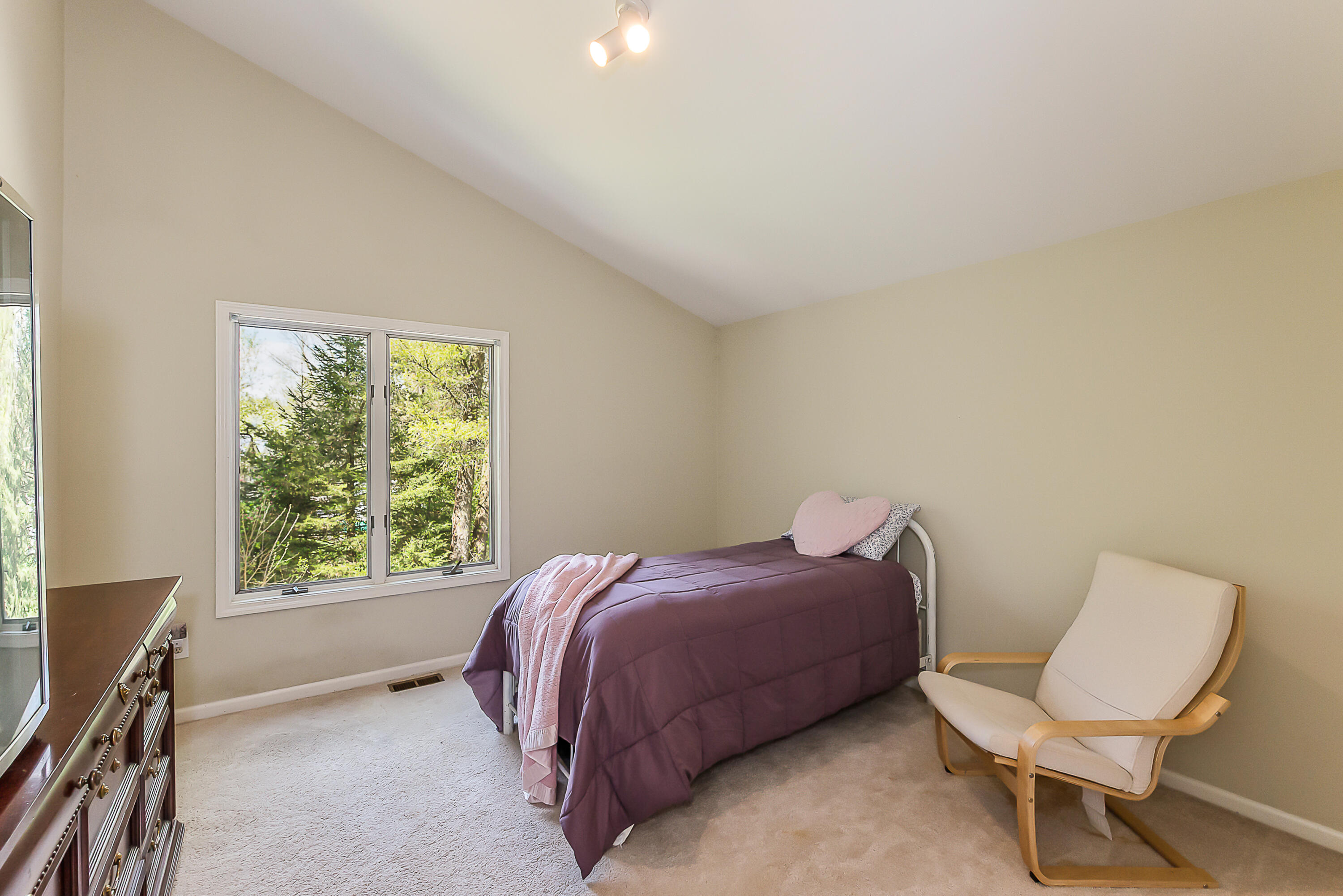 8544 Far Ravine Drive Pinckney, MI 48169 - Photo 39 of 69 DSC_1533