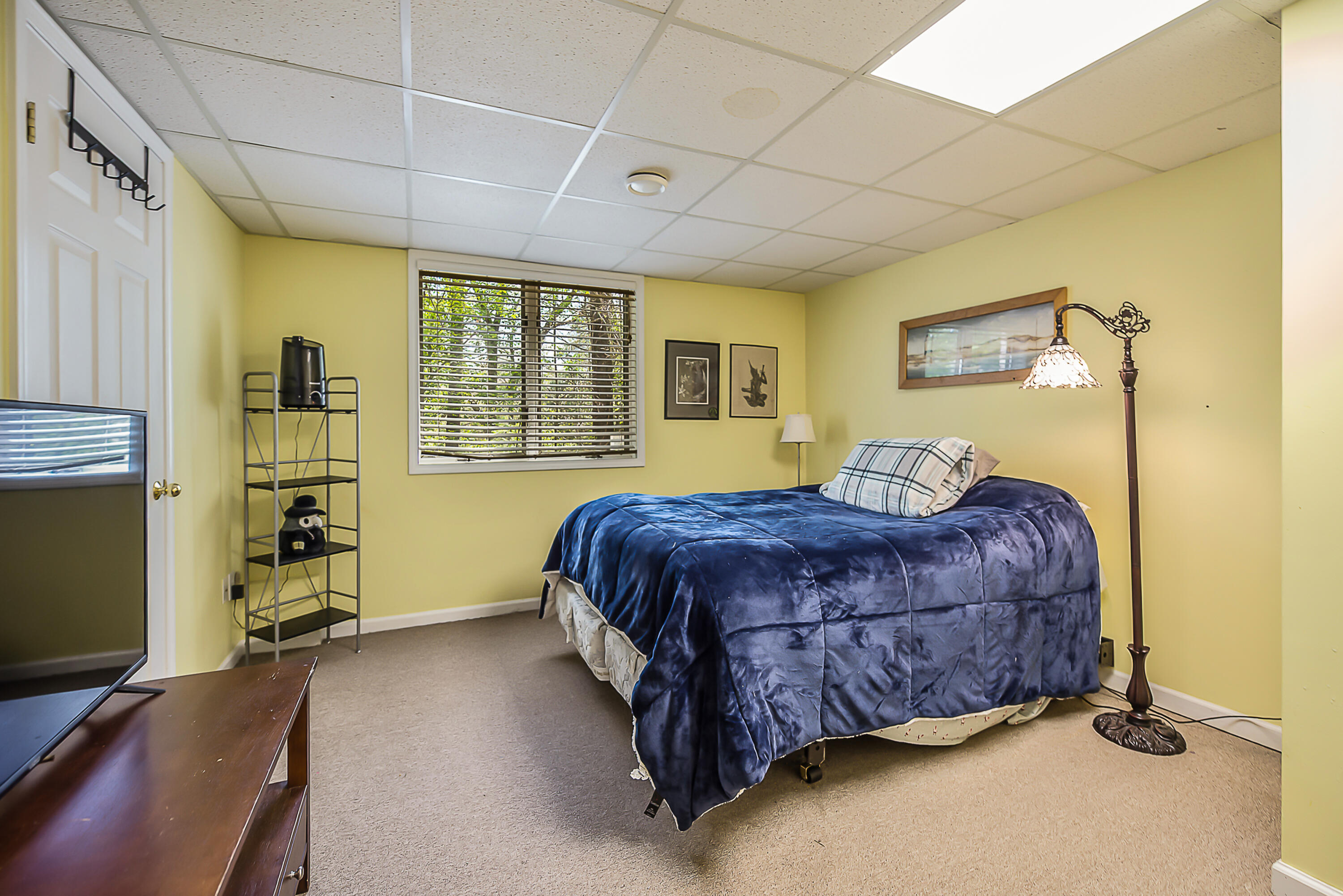 8544 Far Ravine Drive Pinckney, MI 48169 - Photo 47 of 69 DSC_1621