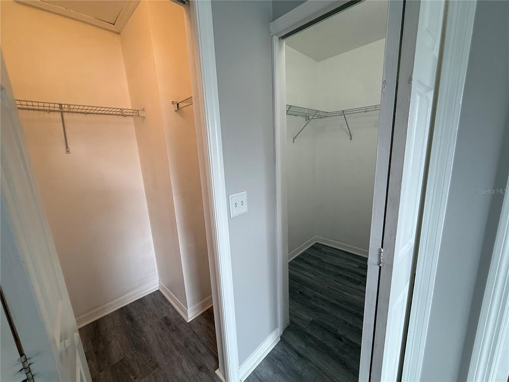 20460 Needletree Drive Tampa, FL 33647 - Photo 26 of 28 a view of walk in closet