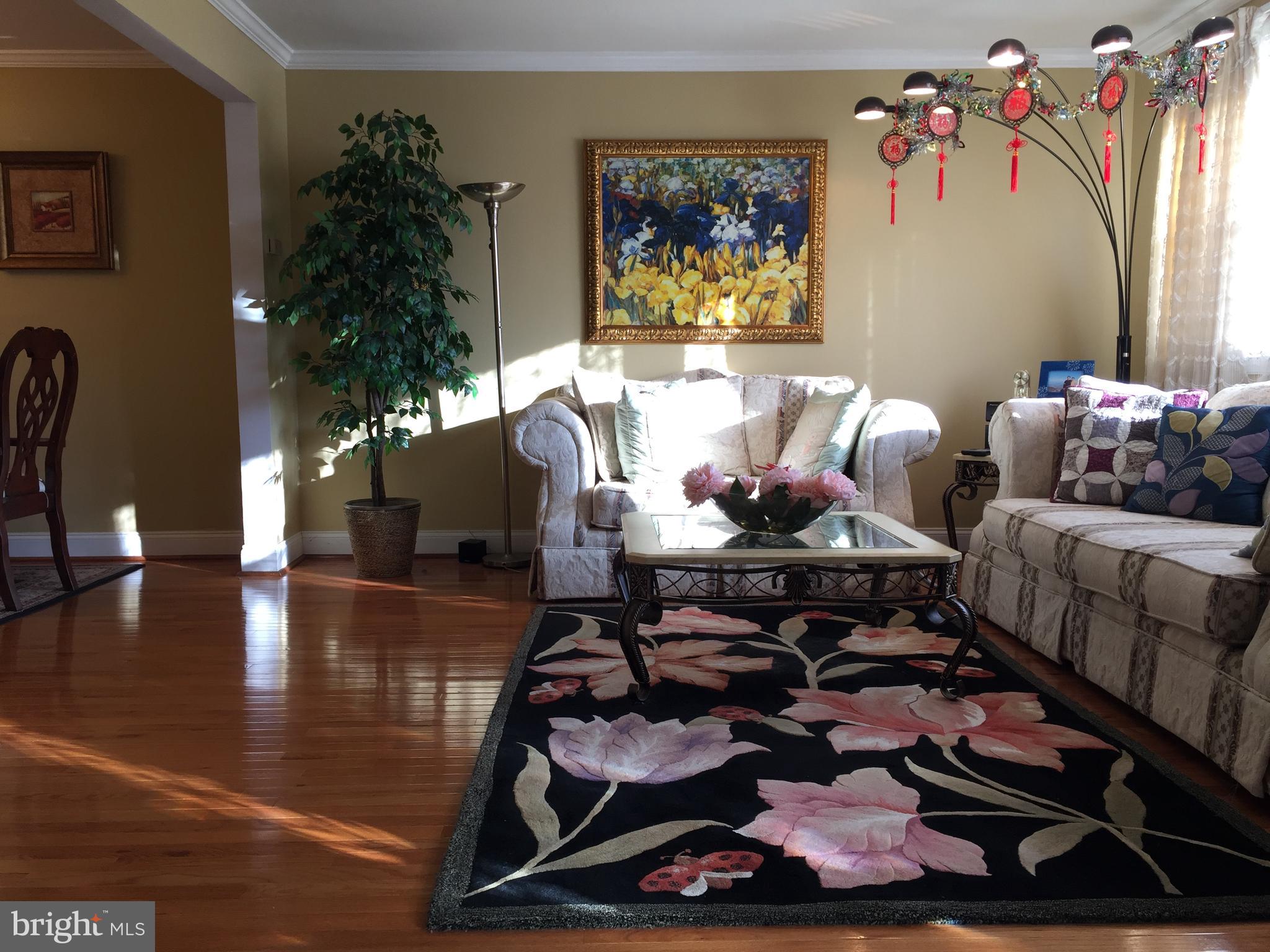 109 Valley Forge Terrace Wayne, PA 19087 - Photo 4 of 13 a living room with furniture and a potted plant