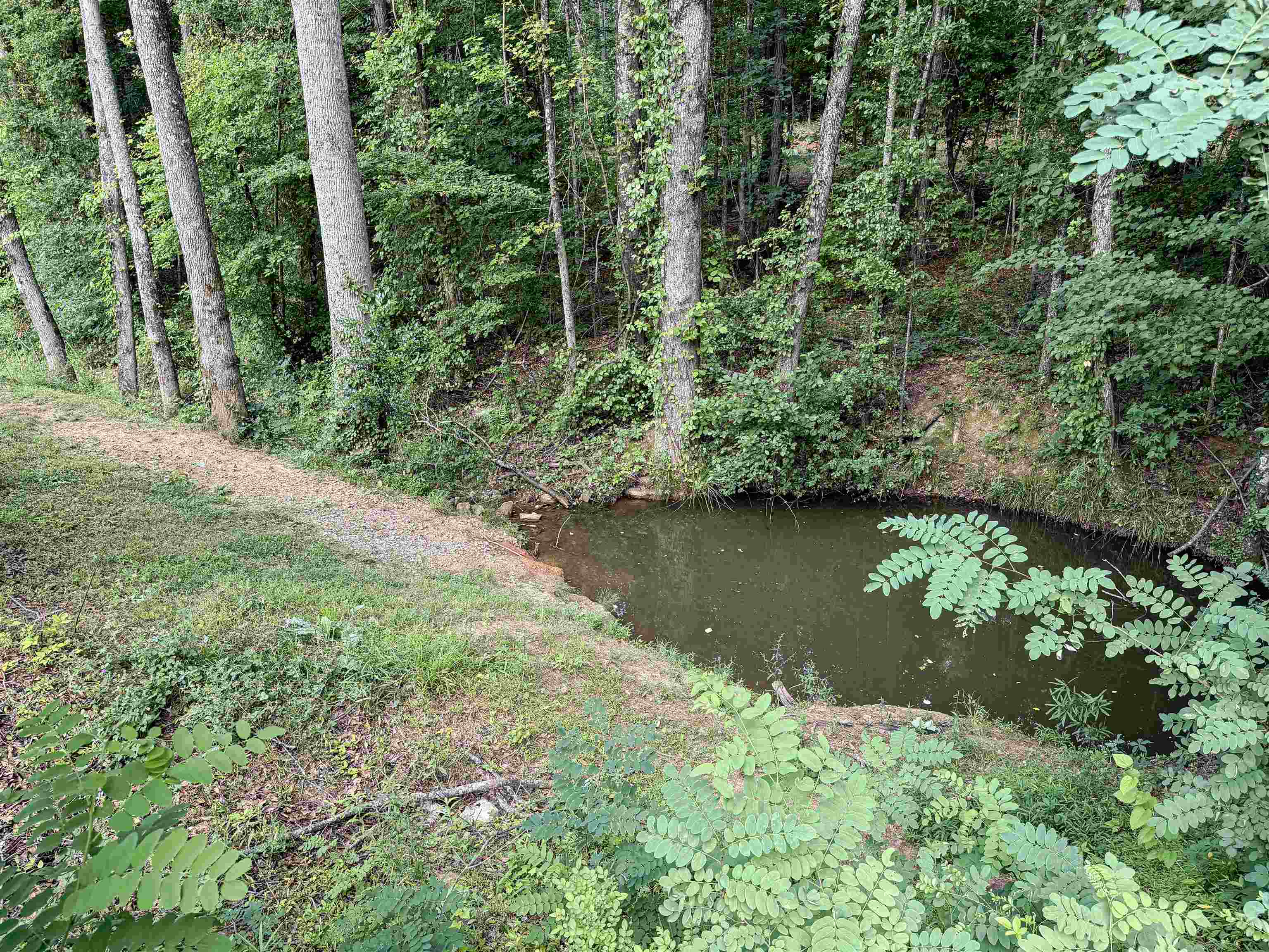 115 Fowler Road Campobello, SC 29322 - Photo 24 of 34