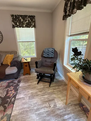 a living room with furniture and a potted plant
