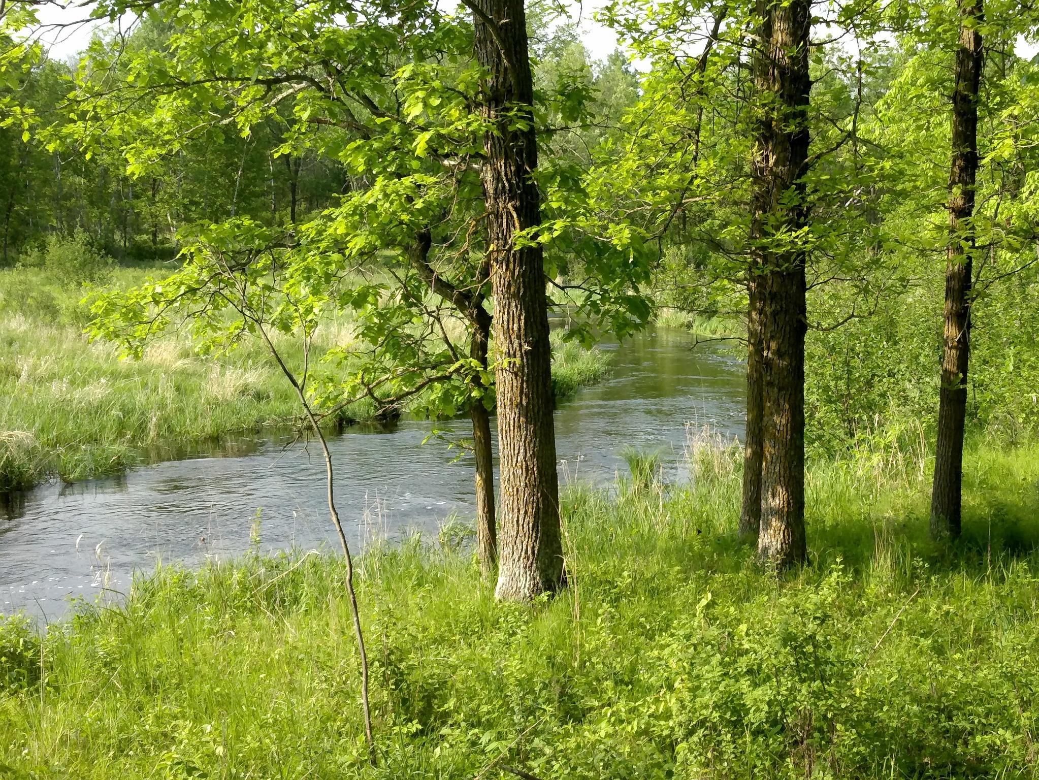 10005 Rice Road Brook Park, MN 55007 - Photo 2 of 8