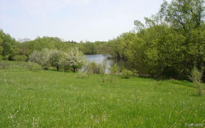 5931 Lippincott Road Lapeer, MI 48446 - Photo 47 of 54 Lake from hills 1A.jpg
