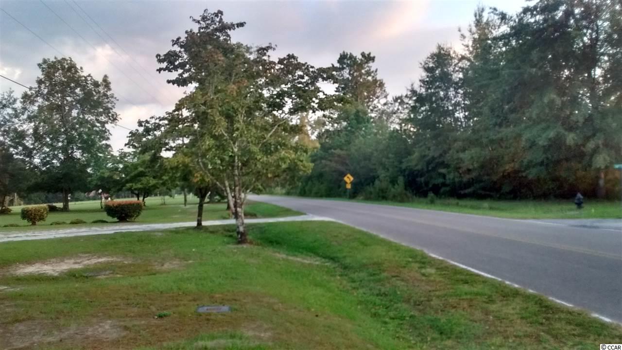 112 Edwin Road Lane, SC 29564 - Photo 11 of 12