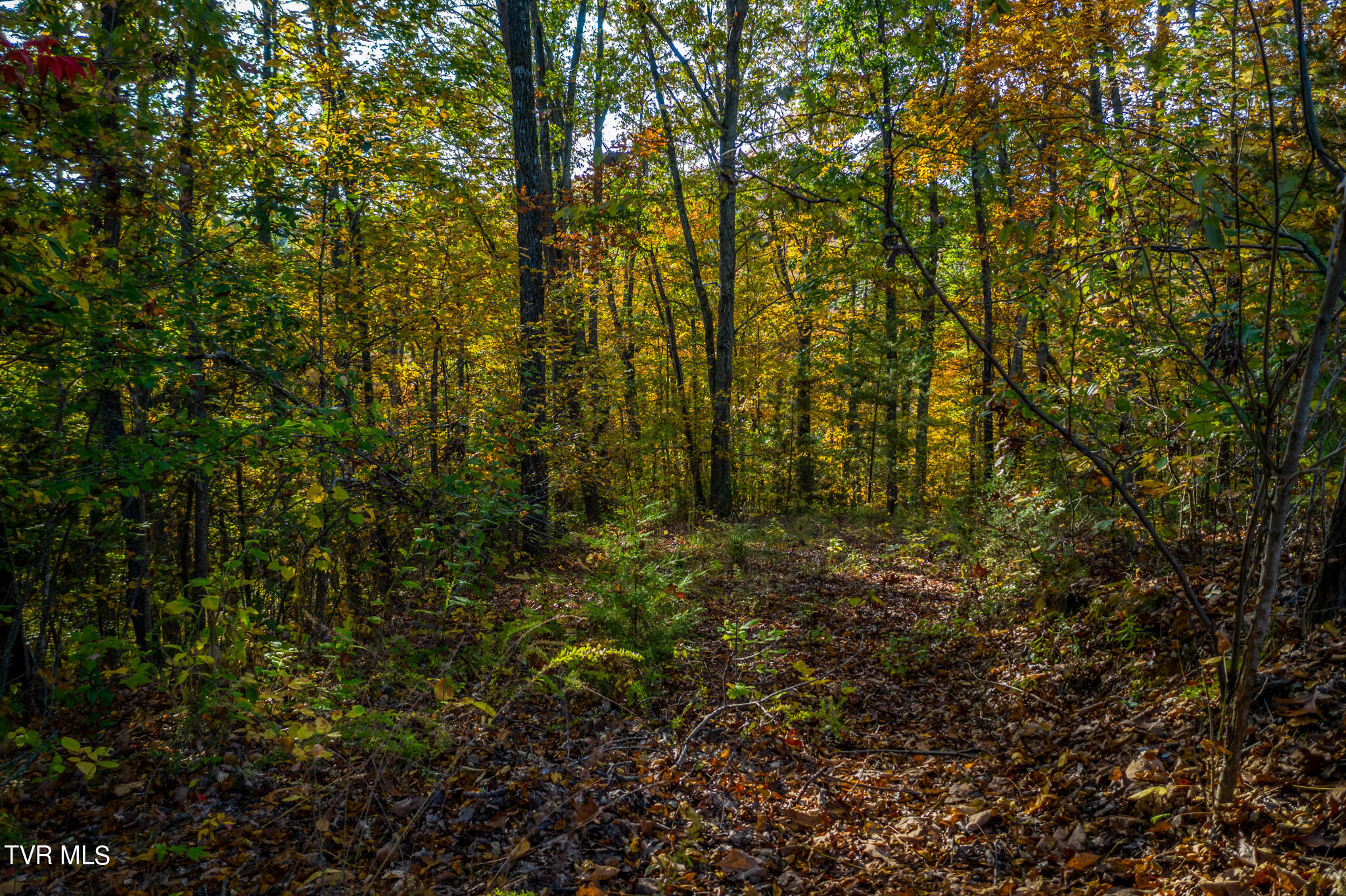 1987 Turner Landing Road, Unit 90 Russellville, TN 37860 - Photo 11 of 23 1987 Turners Landing Rd - 12