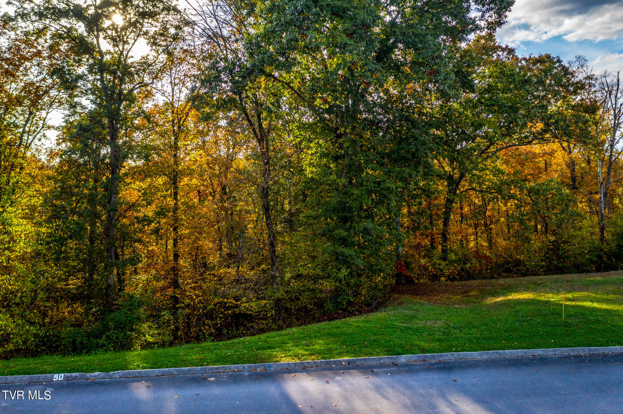 1987 Turner Landing Road, Unit 90 Russellville, TN 37860 - Photo 9 of 23 1987 Turners Landing Rd - 10