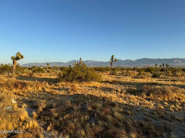 $35,000 | 0 Ave S4 And 115th Street, Littlerock, CA 93543