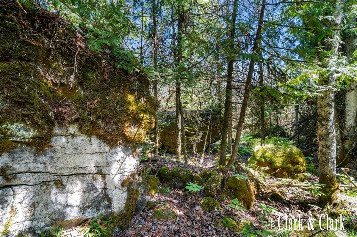 35965 South Humms Road Drummond Island, MI 49726 - Photo 63 of 73 135-WOODS 05A