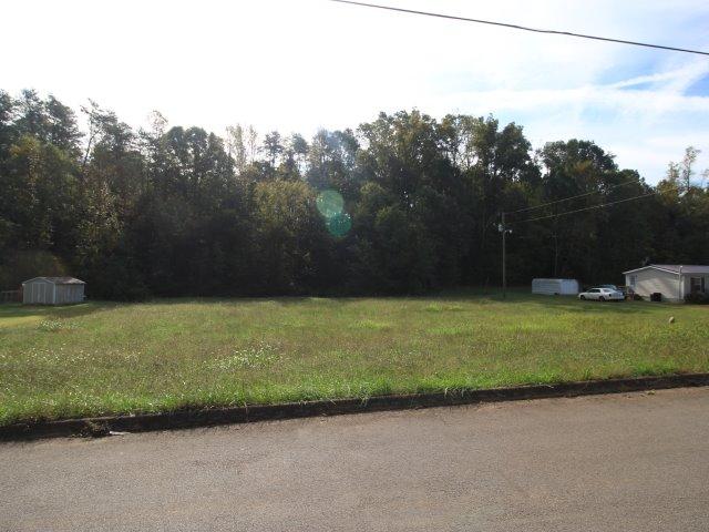 39 Baker Farm Road Tellico Plains, TN 37385 - Photo 3 of 8 IMG_7347