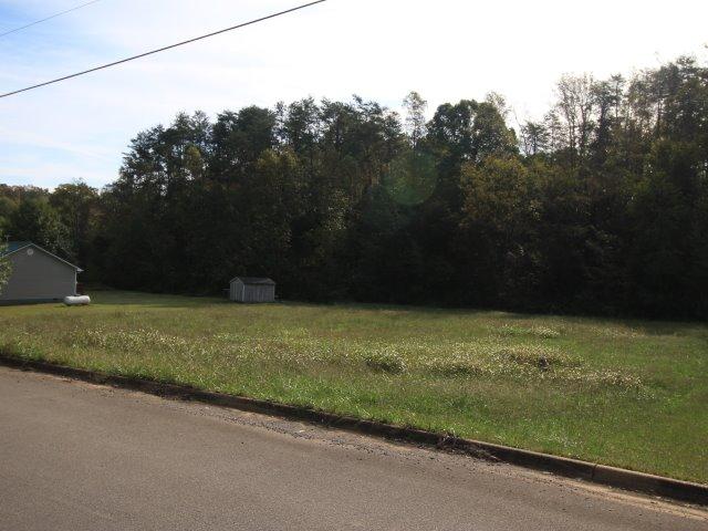 39 Baker Farm Road Tellico Plains, TN 37385 - Photo 5 of 8 IMG_7352