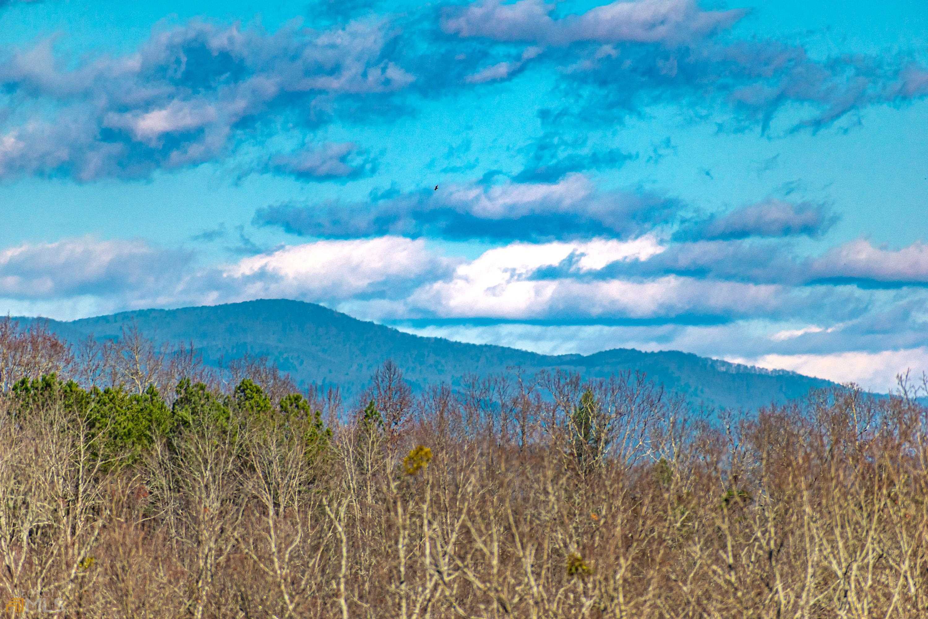 5-ac Doll Mountain Road Ellijay, GA 30540 - Photo 1 of 1 Gallery Image 1
