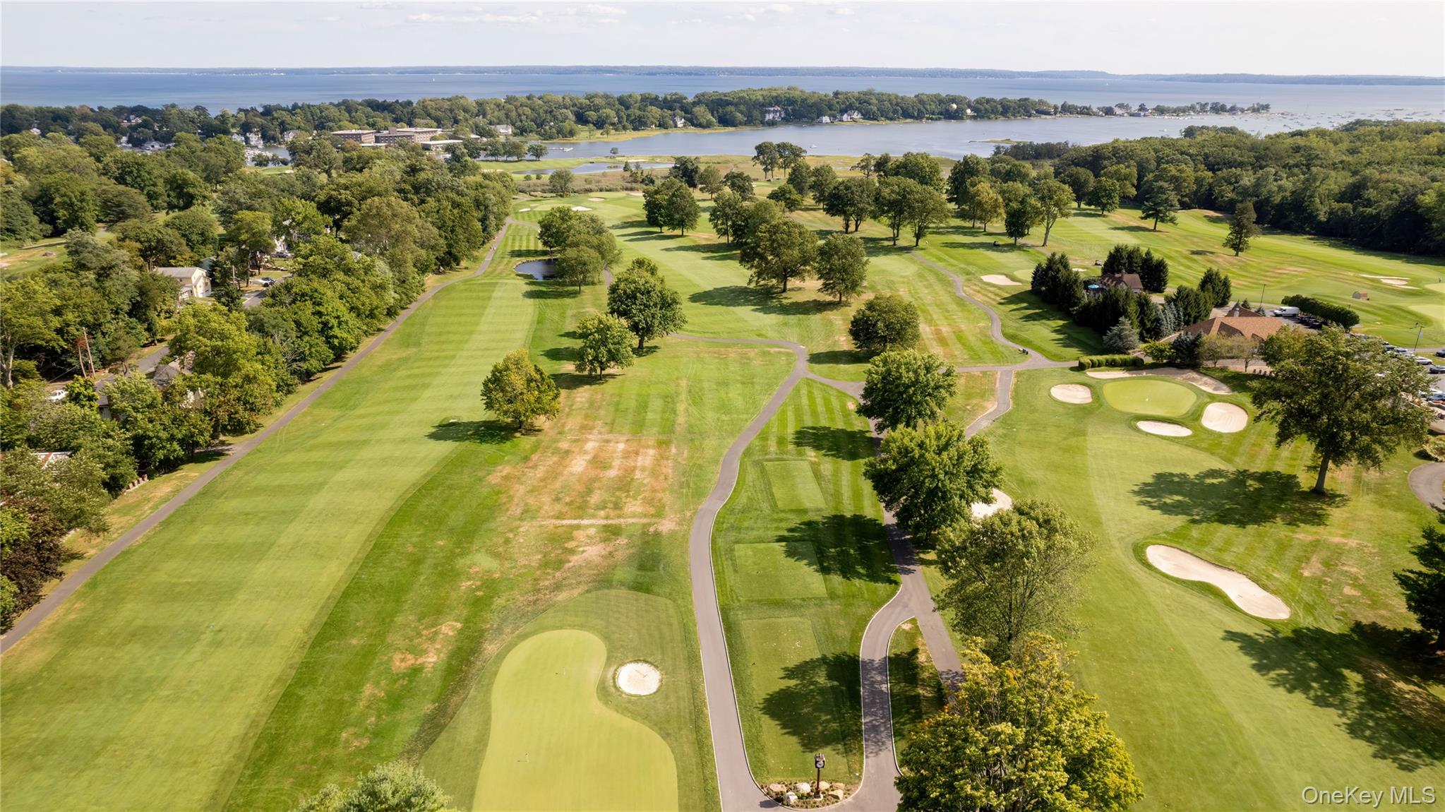 9 Walker Avenue Rye, NY 10580 - Photo 4 of 7 a view of a swimming pool