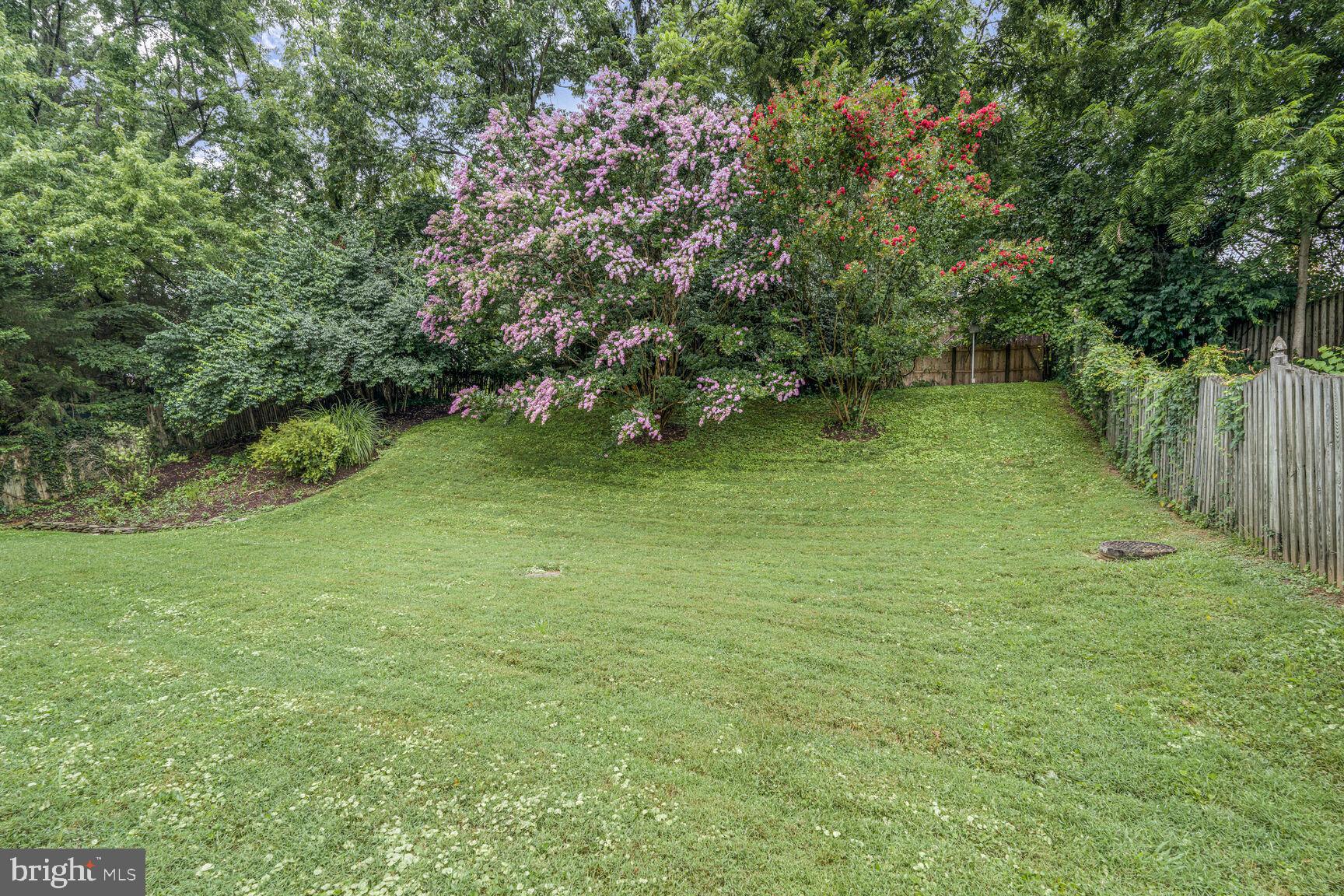 9102 Jones Mill Road Chevy Chase, MD 20815 - Photo 29 of 32 a backyard of a house with lots of green space