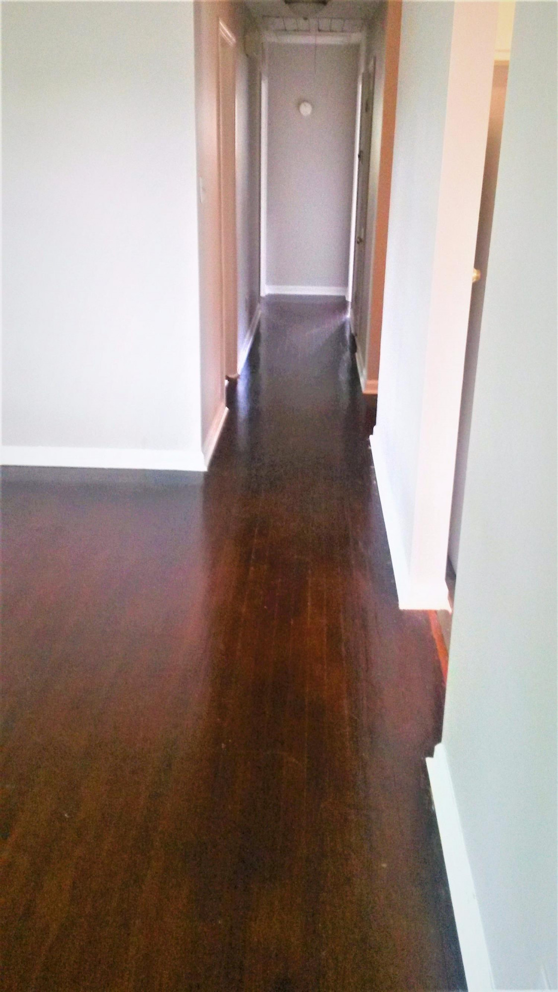177 Quebec Way Lexington, KY 40515 - Photo 16 of 18 Photo 16