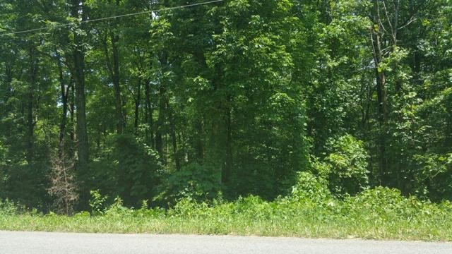 0 Mt Olive Road Whitwell, TN 37397 - Photo 2 of 6 Gallery Image 2
