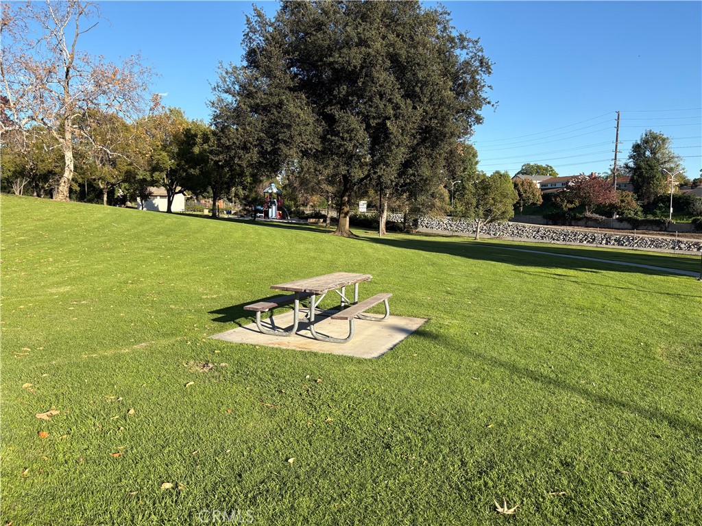 1941 Hillhaven Drive Brea, CA 92821 - Photo 28 of 30 a view of a swimming pool and trees in the background