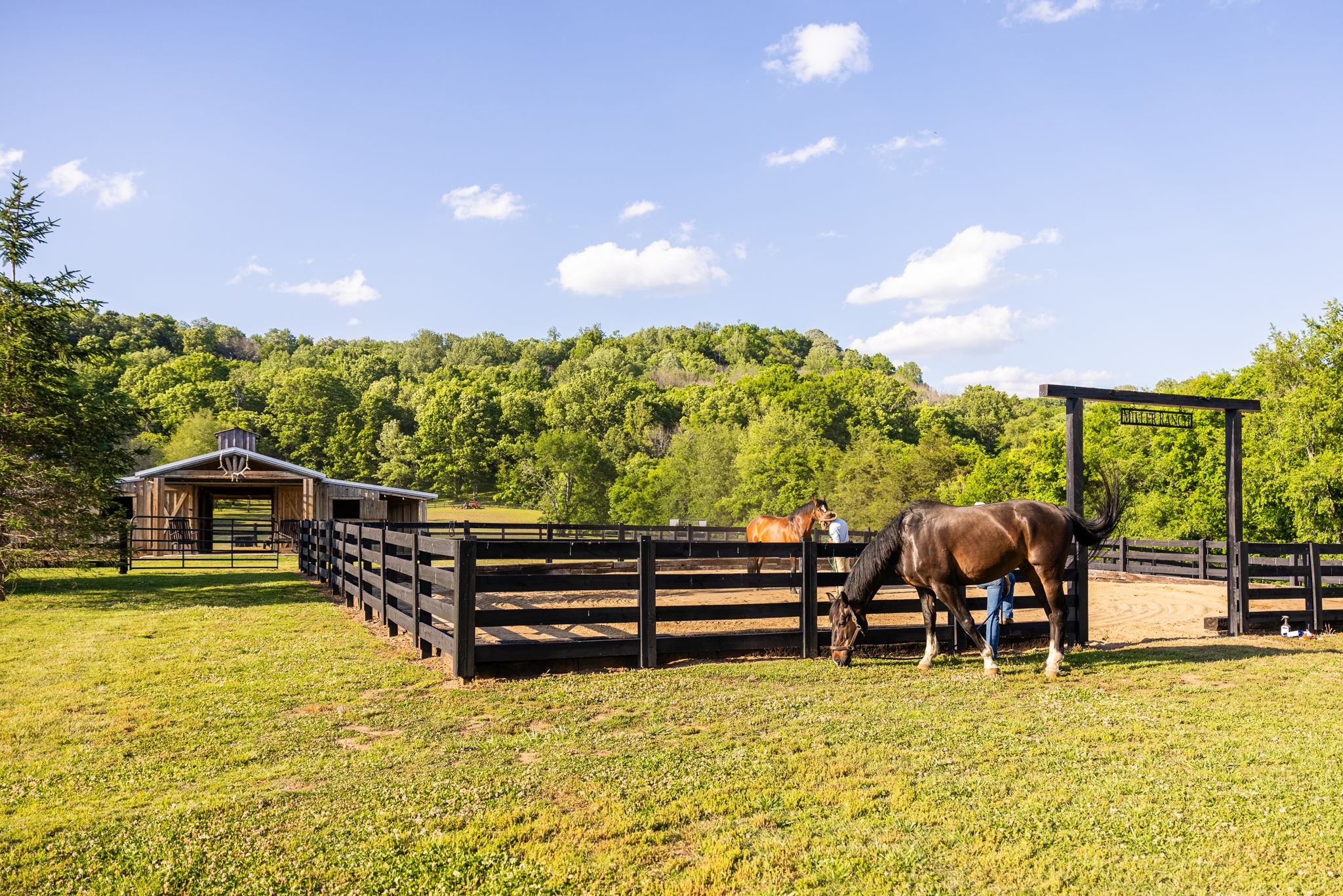 1496 Coleman Road Franklin, TN 37064 - Photo 2 of 73