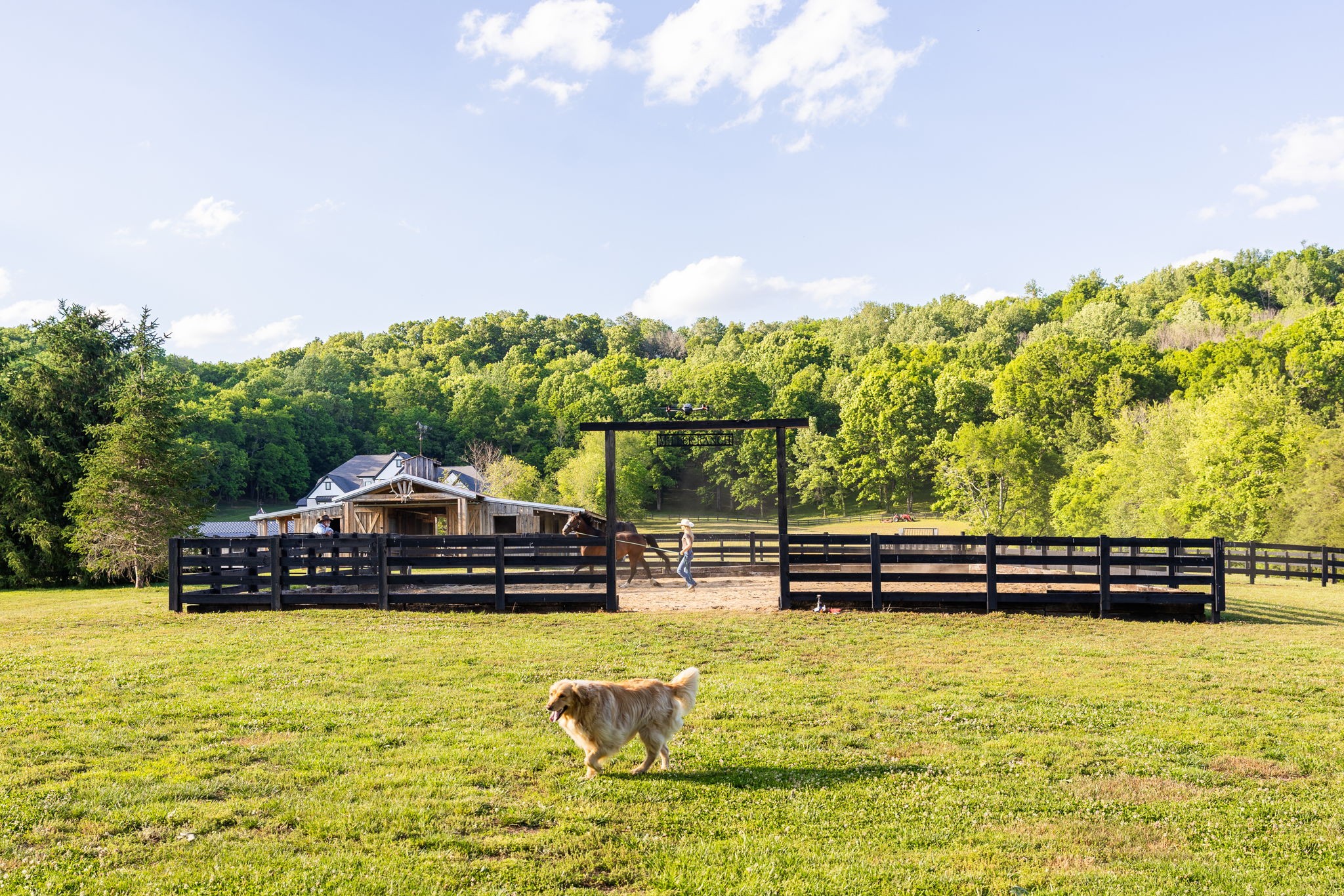 1496 Coleman Road Franklin, TN 37064 - Photo 45 of 73