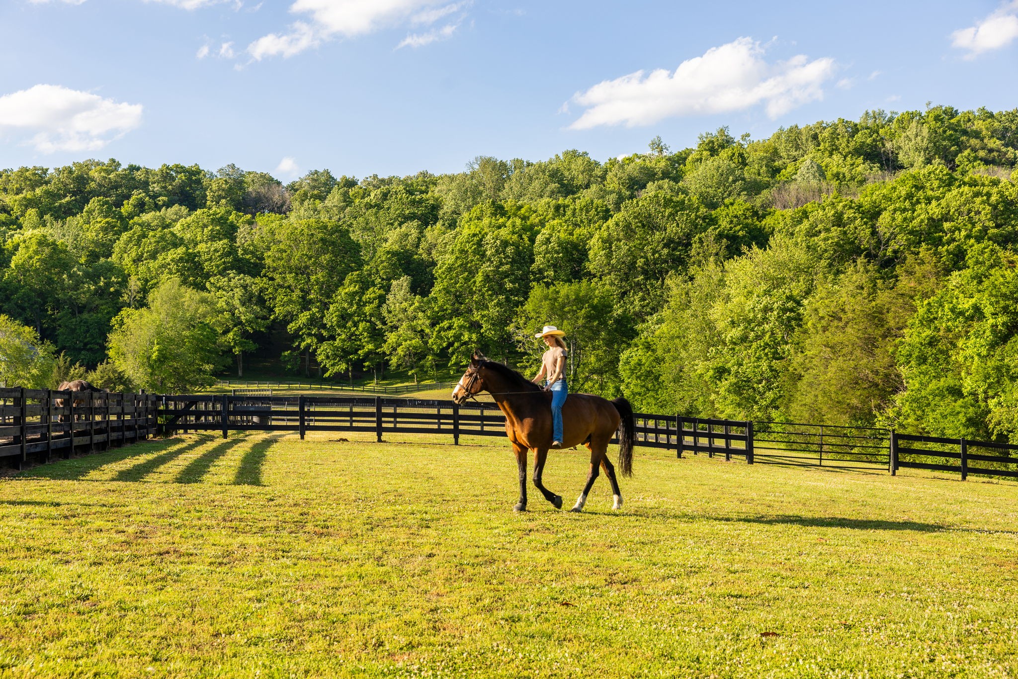 1496 Coleman Road Franklin, TN 37064 - Photo 49 of 73