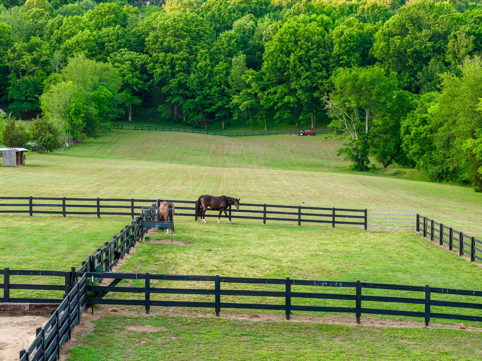 1496 Coleman Road Franklin, TN 37064 - Photo 51 of 73 a view of a pool with an outdoor space