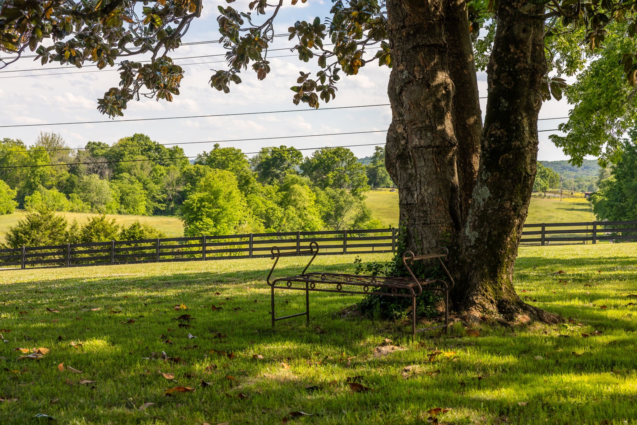 1496 Coleman Road Franklin, TN 37064 - Photo 59 of 73 a view of a garden with a bench