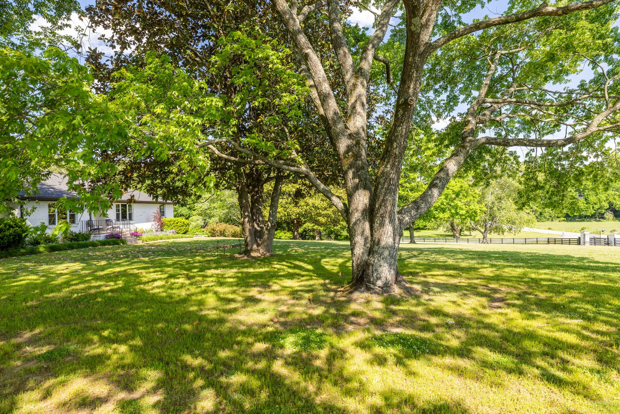 1496 Coleman Road Franklin, TN 37064 - Photo 61 of 73 a view of a yard with a tree